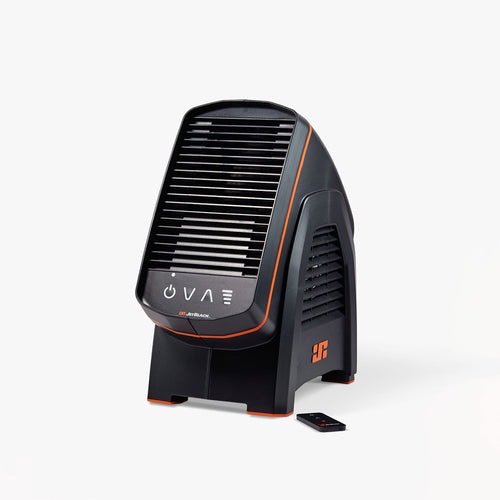 JetBlack Trainer Fan