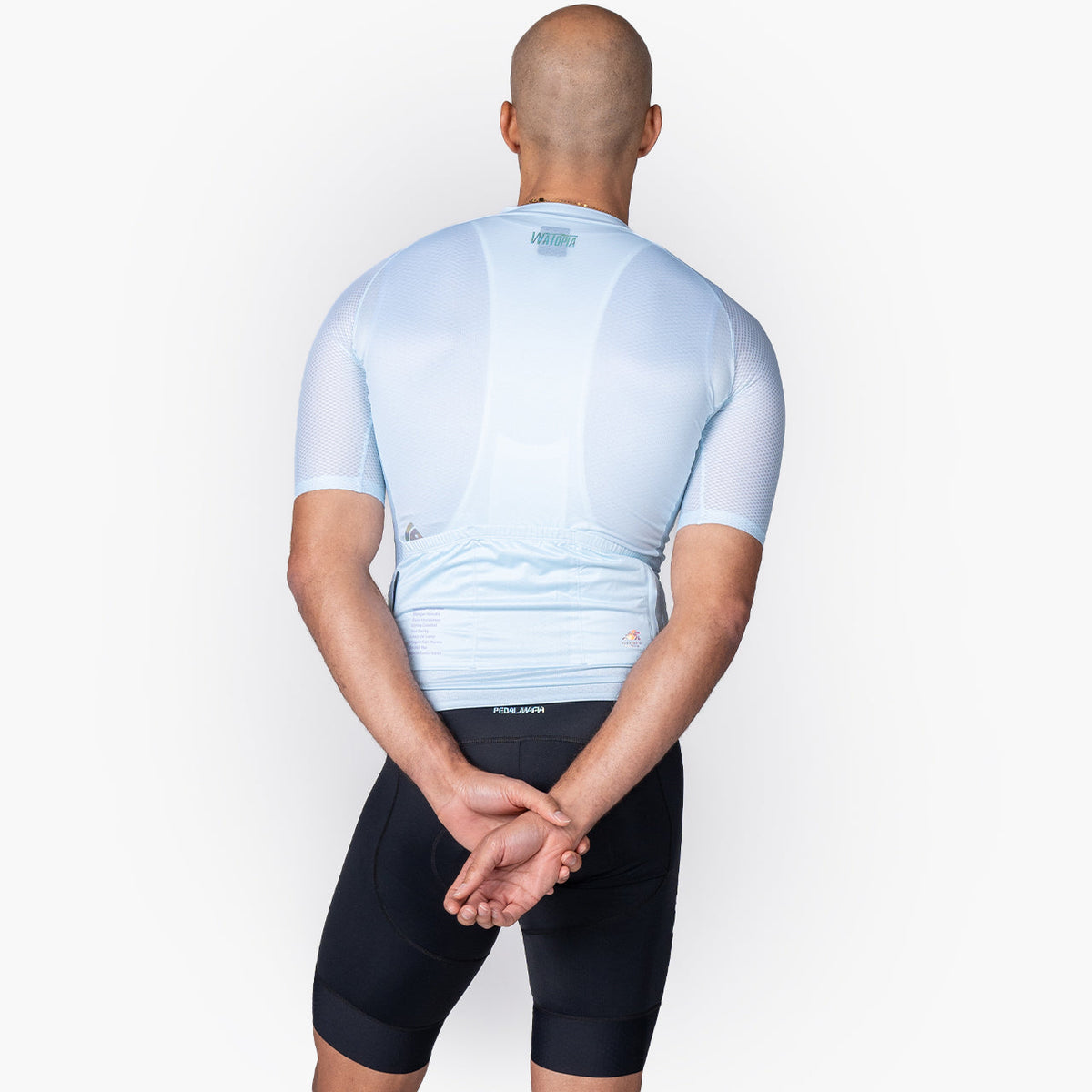 Zwift Men's Watopia Essentials Jersey